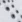 15.webp