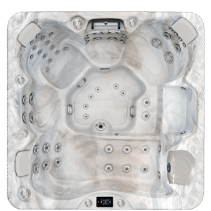 AVALON-X EC-867LX For Sale