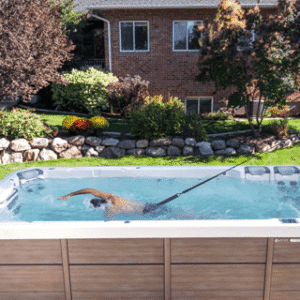 Swim Tether® For Sale